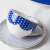 Import Bone china dinnerware set Blue or Gold rim ceramic dishes plate set from China