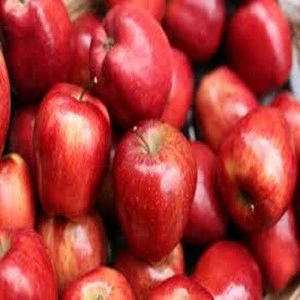 Bright Red Color ,Fuji Apple ,Fresh Apples
