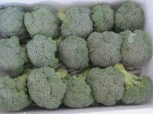 bubble box of broccoli