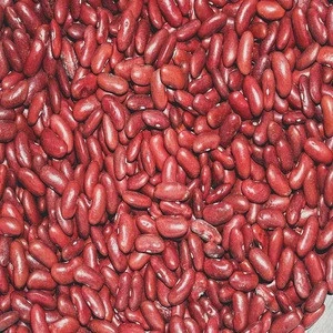 Bulk Organic Dark Red Kidney Beans for canned foods