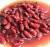 Import canned kidney beans Wholesale dealer 100% Premium quality cheap rate Bulk Quantity available from USA