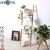 Import Carbon Steel Material Fresh Flower Display Rack Cupcake Rack 5 Tier Plant Stand from China