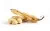 Certified Organic Soybean / Soya bean seeds Best Quality