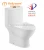 Import Chaozhou sanitary ware washdown and siphonic ceramic One piece toilet from China
