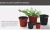 Import cheap plastic double colour flower pot from China
