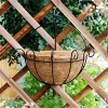 Cheap price Wall-mounted Hanging Basket with Coco liner