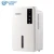 Import Cheapest New ABS electric wardrobe Dry air Mini home dehumidifier dc 12V 400ml with 1.5L tank from China