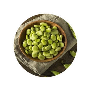 China factory Organic healthy  galina broad beans