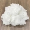 China Newly developed recycled 15D 7Dx64MM HCS polyester staple fiber for filling