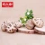 Import China Shiitake Mushroom Dried White Flower Mushroom With Best Price from China