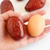 chinese big red dates sale dates online