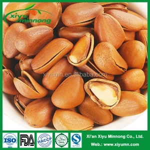 Chinese northeast dried pine nuts supplier