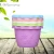 Import Colorful Flower Plant Container Seedlings Nursery Pots Planter  with Pallet from China