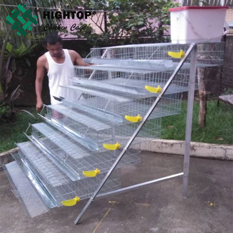 Buy Commercial Battery Quail Brooder Cage from Hebei Hightop Metal ...