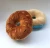 Import Cotton Donut Play Toys Lovely Dog Cat Chew Squeaker Quack Sound Toy Chew Donut Play Toys from China