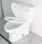 Import cUPC WaterSense foshan sanitary ware public toilet design SA-2176 from China