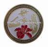 custom metal badge/emblem/souvenir/coin/insigne