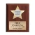 Import custom wood plate souvenir honor metal medal plaque from China