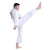Import Customizable Long Sleeved Martial Arts Wear Taekwondo Uniform Taekwondo Dobok Embroidery Dragon Warrior from China
