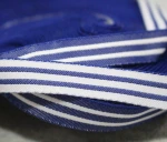 Customized Polyester Webbing /Nylon Webbing