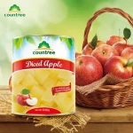 Delicious Health China Brand Canned Apples in Light Syrup