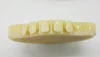 Denture material cad cam dental pmma block disc pmma dental lab