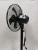 Import Direct Manufacturer Competitive Price 220V Floor Stand Fan For Home from China