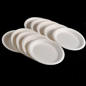 Disposable 7inch bagasse cheese dishes
