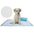 Import disposable Urine Absorbent training Pet Pad for Dog from China