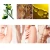 Import Double Side Cold Wax Hair Removal Body Waxing Strips Depilatory Wax Strips from China