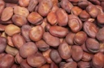 Dried Broad Beans Fava Beans /High Quality broad bean/fava bean