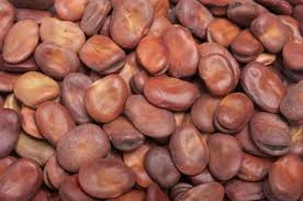 Dried Broad Beans Fava Beans /High Quality broad bean/fava bean