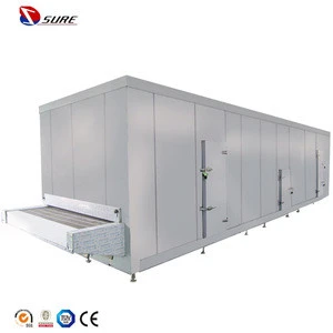 Durable large capacity industrial blast freezers/ fish IQF Blast freezer/ blast freezer for sale