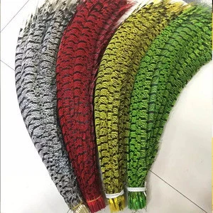 Dyed Lady Amherst ZEBRA Pheasant Tail Feathers