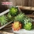 Import Eco-friendly PVC Material Artificial Lotus Succulent Plants for Hotel Decoration from China