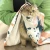 Import eco-friendly strong absorbent sublimated printed microfiber pet drying towel for pet cleaning bathing from China