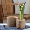 European style vintage round cement Individual creative green plant planters indoor pots for plants flower