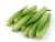 Import Export Quality Fresh Vegetables from India