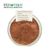 Factory Bulk High Quality 10%-12%  Alkalized Black Cocoa Powder