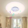 Factory Direct Sales Acrylic Modern Minimalist Smart Bluetooth Home Bedroom Music Led Ceiling Light