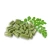Import Factory OEM 500mg Veggie Moringa Oleifera Capsules Moringa Capsules from China