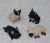 Import Factory price animals squish squeeze soft tpr toys from China