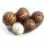 Import Factory Supply 2020 Crop Chinese High Quality Price Whole Raw Roasted Macadamia Nut With Shell from China