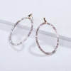 Fashion earrings jewelry for women acrylic disc big hoop earrings Hollow leopard oval stud earrings 4 colors to choose