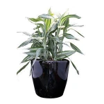 Fashional handmade Flower Planter