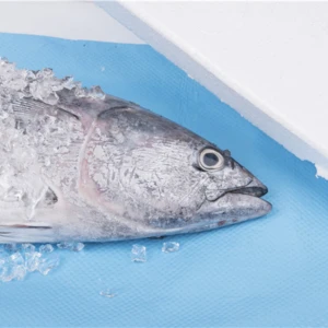 Food Fresh SAP Material High Absorbent Pad For Meat fish