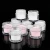 Import Free sample finest french dip acrylic powder crystal clear nail extension dip powder fast drying on natural nails from China