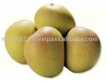 Fresh Alphonso and Kesar Mangos from India