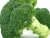 Import FRESH BROCCOLI HIGH QUALITY WITH BEST PRICE from Vietnam