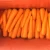 Fresh Carrot High Quality and Best Price carrot price